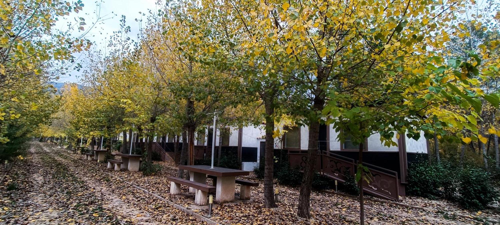 Casas Rurales Vado Del Rio Tus Cortijo Prados Exterior photo